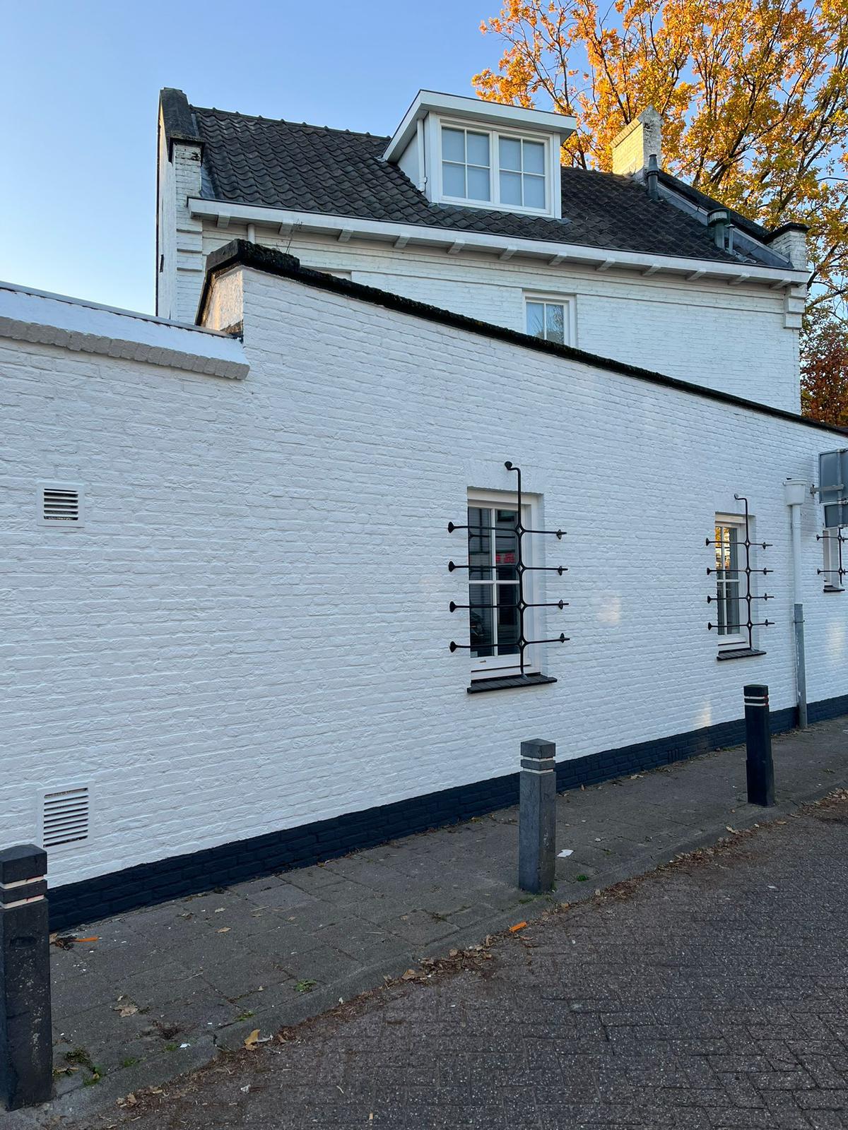 Lees meer over het artikel Buitenschilderwerk woning